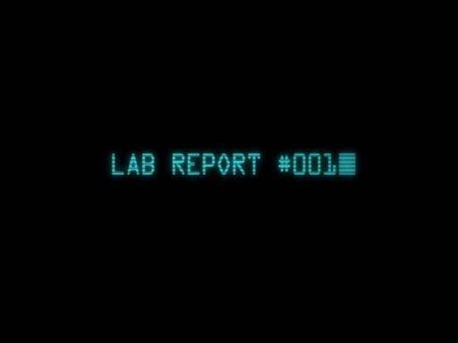 LAB REPORT #001