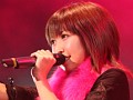 豪華出演者達が多数登場した,5pb.のプレミアム感謝祭。4時間にも及んだ“Live 5pb.2008”の模様をレポート