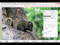 マイコンソフト,ビデオキャプチャソフト「VideoKeeper2」のCUDA対応を発表。NVIDIA製GPU搭載環境でエンコード時のCPU負荷を低減
