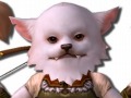 4Gamer読者枠は1000名分。ロシア産MMORPG「ALLODS ONLINE」のクローズドβテスター募集が本日スタート