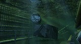 Hydrophobia
