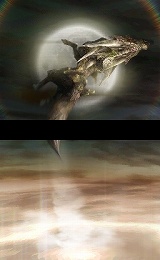 ֥å  Хϥࡼ