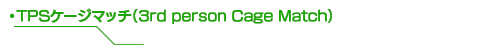 TPSケージマッチ（3rd person Cage Match）