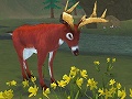 豊かな森を育てて動植物を繁栄させる,Wii/ニンテンドーDS用ソフト「シムアニマル」が2009年2月19日発売