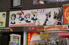 画像集#001のサムネイル/イージーモードは“史上最弱”を誇る将棋ソフト? 原作者も出演したWiiウェア/NDS「ハチワンダイバー」発売記念イベント