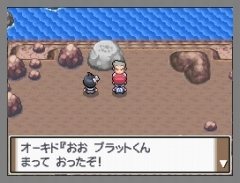 画像集#025のサムネイル/「ポケモン不思議のダンジョン 空の探検隊」は4月18日発売&「ポケットモンスター プラチナ」でシェイミに出会える“どうぐ”を期間限定配信