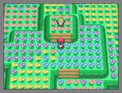 画像集#026のサムネイル/「ポケモン不思議のダンジョン 空の探検隊」は4月18日発売&「ポケットモンスター プラチナ」でシェイミに出会える“どうぐ”を期間限定配信