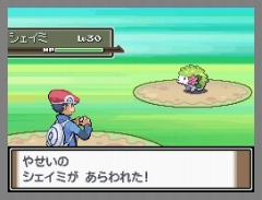 画像集#027のサムネイル/「ポケモン不思議のダンジョン 空の探検隊」は4月18日発売&「ポケットモンスター プラチナ」でシェイミに出会える“どうぐ”を期間限定配信