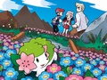 「ポケモン不思議のダンジョン 空の探検隊」は4月18日発売&「ポケットモンスター プラチナ」でシェイミに出会える“どうぐ”を期間限定配信