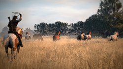 #006Υͥ/Red Dead RedemptionפȤʤ롤ʥꥫϰ򥹥꡼󥷥åȤ̤Ƴǧ褦