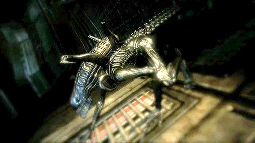Aliens vs. Predatorץץ⡼ࡼӡ