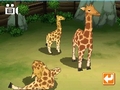 タイトー,NDS「みんなの動物園」を4月30日に発売