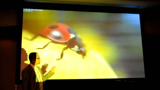 Ladybugǥ