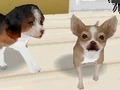 エム・ティー・オー,「カジュアルシリーズ2980」第一弾として犬/猫/馬/サルの育成ができる「Petz」シリーズ4タイトルを発売