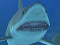 オンライントローリングゲーム「Grand Mer」の新プレイムービーを4GamerにUp