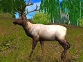 ドライブ,「ハンティング・アンリミテッド2009」日本語マニュアル付き英語版を5月1日に発売