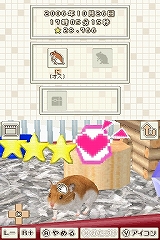 画像集#003のサムネイル/ハムスターファン必見！　NDS「ハムスターと暮らそう Best Price」7月9日に発売