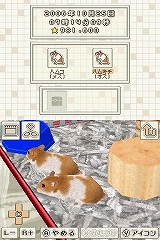 画像集#006のサムネイル/ハムスターファン必見！　NDS「ハムスターと暮らそう Best Price」7月9日に発売