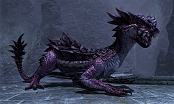 画像集#055のサムネイル/「FINAL FANTASY XIV」βテスト先行プレイレポート：どこがどう変わるのかを，βテストに先がけて新画像と共に紹介