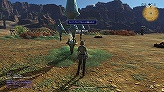 #055Υͥ/ԡȥ˥ɤȺԡȥϡɤɲá9ܳͽΡFINAL FANTASY XIVץץ¥ƥԥץ쥤ݡȤǺ