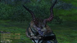 ץ쥤䡼Ȥ«ɬޤؤκԤ줿FINAL FANTASY XIV׶۵ޥ󥿥ӥ塼FFXIV줿ĻϤɤʿʪʤΤ