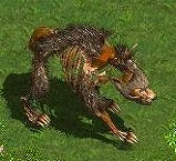 #015Υͥ/֥ե饴ꥢGMо줷ǯǯϥ٥ȤΥݡȤ