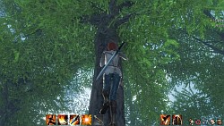 #030Υͥ/ԤοArcheAgeפڤˤäФ㤦ڹǹԤ줿CBT3MMORPGեɬΥץ쥤ݡȤǺ