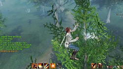 #031Υͥ/ԤοArcheAgeפڤˤäФ㤦ڹǹԤ줿CBT3MMORPGեɬΥץ쥤ݡȤǺ