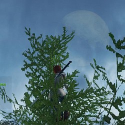#045Υͥ/ԤοArcheAgeפڤˤäФ㤦ڹǹԤ줿CBT3MMORPGեɬΥץ쥤ݡȤǺ