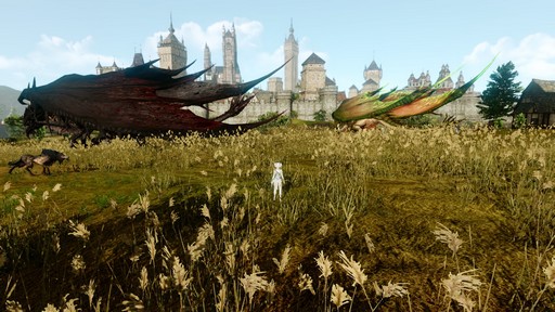  No.020Υͥ / ArcheAge緿åץǡȡArcheAge4.5 θưץץ쥤ݡȡ6ΤΥɥ饴󤬤Ҥ᤭礦˾Τ!?