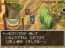 画像集#019のサムネイル/謎を解き明かそう。NDS「ドラゴンクエストVI 幻の大地」最新情報が公開に