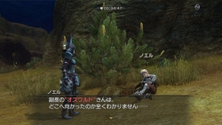 画像集#046のサムネイル/白騎士の冒険はまだ終わらない。PS3「白騎士物語 -光と闇の覚醒-」,2011年初頭までのアップデート計画を公開