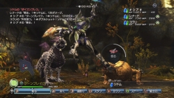 画像集#053のサムネイル/白騎士の冒険はまだ終わらない。PS3「白騎士物語 -光と闇の覚醒-」,2011年初頭までのアップデート計画を公開