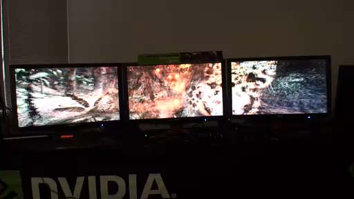 3D Vision Surroundˤ ץͥå2Υǥץ쥤