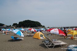 画像集#002のサムネイル/「ぽかぽかアイルー村」にはゲッターズ飯田さん監修の本格占いも入る!?　「CAPCOM SEASIDE HOUSE presents モンハンラジオ2nd in 腰越」観覧レポート