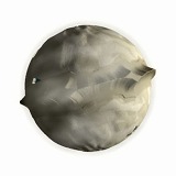 ŴﵭC21 for Mac