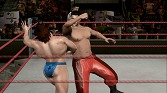 画像集#036のサムネイル/「レッスルマニアXXVI」が今夜日本でPPV放送されるので，「WWE 2010 SmackDown vs Raw」で気分を盛り上げよう
