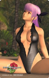 画像集#015のサムネイル/「DEAD OR ALIVE Paradise」のナイトスポット「カジノ」を盛り上げるキャラクター“Rio”にフォーカスを当てた情報を公開。店舗によって異なる法人別特典の内容もチェック