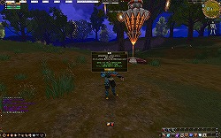 #008Υͥ/ɥȥ餳ΰ¿MMORPGAILA Onlineθݡ