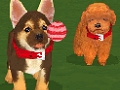 2匹同時に仔犬の育成が可能になった,NDS「かわいい仔犬DS3」が3月18日発売