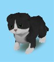 画像集#005のサムネイル/ピンクのパンダ?ボタンペンギン?「ペットショップ物語DS 2」,赤ちゃんペットが生まれる「お見合い」や世話の内容を知っておこう