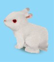 画像集#009のサムネイル/ピンクのパンダ?ボタンペンギン?「ペットショップ物語DS 2」,赤ちゃんペットが生まれる「お見合い」や世話の内容を知っておこう