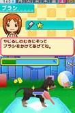 画像集#025のサムネイル/ピンクのパンダ?ボタンペンギン?「ペットショップ物語DS 2」,赤ちゃんペットが生まれる「お見合い」や世話の内容を知っておこう
