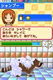画像集#026のサムネイル/ピンクのパンダ?ボタンペンギン?「ペットショップ物語DS 2」,赤ちゃんペットが生まれる「お見合い」や世話の内容を知っておこう