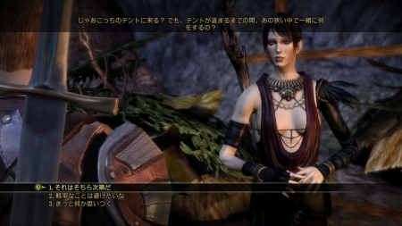 画像集#028のサムネイル/「Dragon Age: Origins」,パーティメンバー「アリスター」「モリガン」を紹介。プレイヤーの選択・行動で変化する“好感度”とは