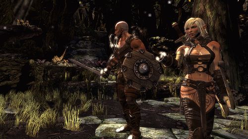 画像集#005のサムネイル/［E3 2010］セクシーなエルフと筋肉剣士のCo-opプレイに注目が集まる「Hunted：The Demon’s Forge」を，Bethesdaブースで実際にプレイしてきた
