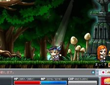 画像集#014のサムネイル/ネクソン初のDSタイトル「メイプルストーリーDS」が本日発売。11月19日と20日には体験イベントが「ららぽーと TOKYO-BAY」で開催予定