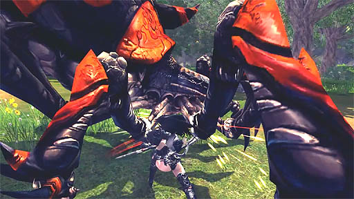 RaiderZ֥ץץ⡼ࡼӡ