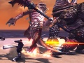 「RaiderZ」ほかのクラスのスキルも使えるようになる「フリースタイル」や,敵の体を破壊し利用する「ブレイカブルシステム」などを紹介