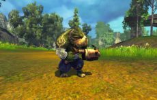 画像集#013のサムネイル/「RaiderZ」の対人戦システムや,時間および天候の変化,変身,楽器の演奏などのゲームシステムを紹介